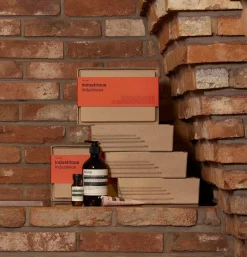 Aesop<Aesop Gift kit 2022 - hand care trio (Industrious) Gaveeske