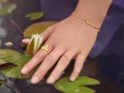 Maanesten<Maanesten Bay Ring Ring Gull