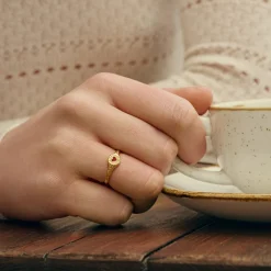 Maanesten<Maanesten Hayali Ring Ring Gull