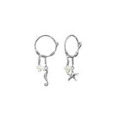 Maanesten<Maanesten Momi Earrings Øredobber Sølv