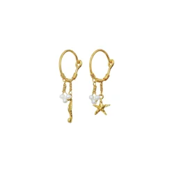 Maanesten<Maanesten Momi Earrings Øredobber Gull
