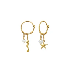 Maanesten<Maanesten Momi Earrings Øredobber Gull