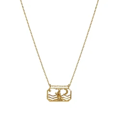 Maanesten<Maanesten Zodiac Capricorn Necklace Steinbukk Smykke Gull