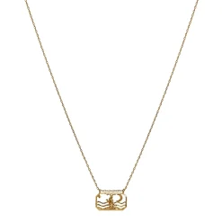 Maanesten<Maanesten Zodiac Capricorn Necklace Steinbukk Smykke Gull