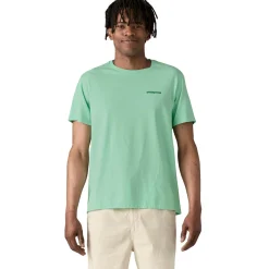 T-Shirt<Patagonia Fitz Roy Icon Responsibili-Tee T-shirt Lysegrønn